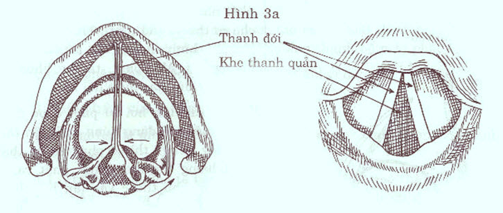 12-12-2016-7-56-21-am