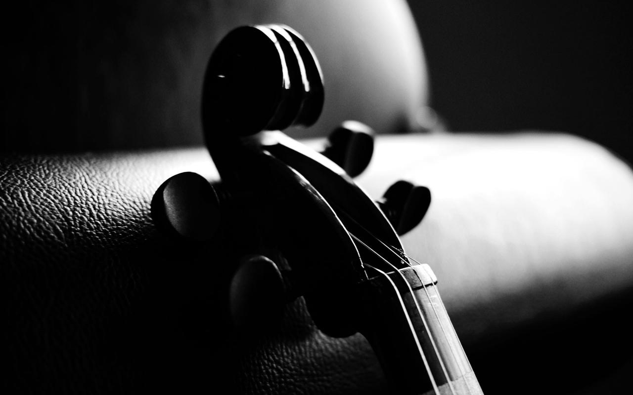 Khóa Học Đàn VIOLIN Cho Bé, Trẻ Em