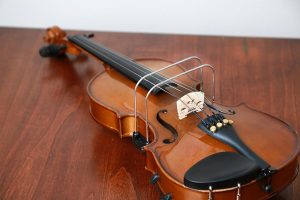 Khóa Học Đàn VIOLIN Cho Người Lớn