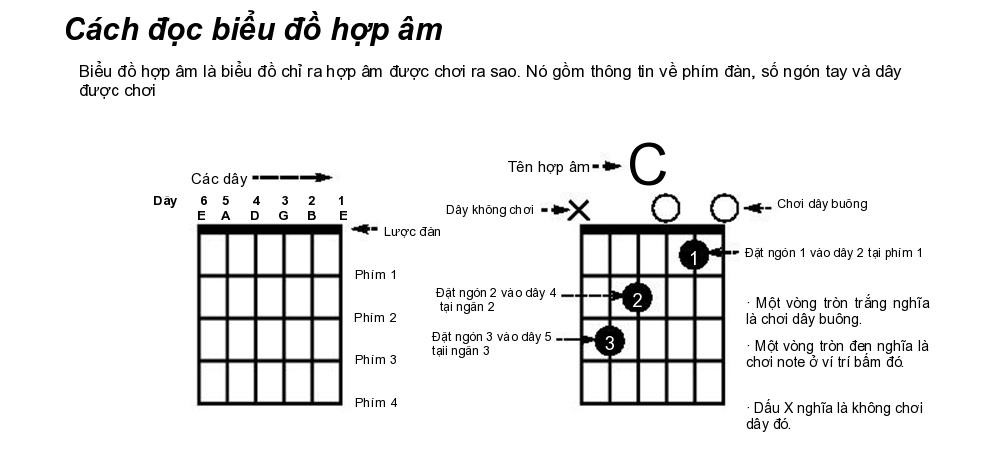 Những hợp âm Guitar cơ bản cho người mới học