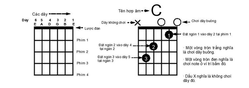 cac-hop-am-co-ban-trong-guitar