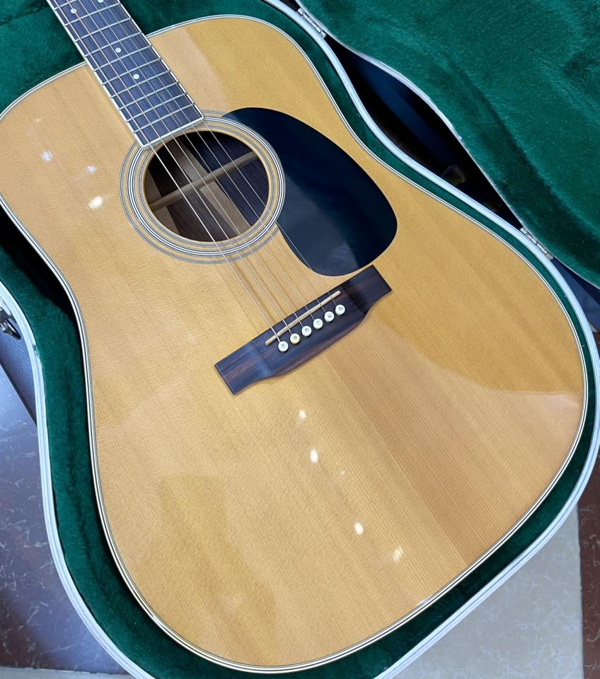 martin d35 (1)